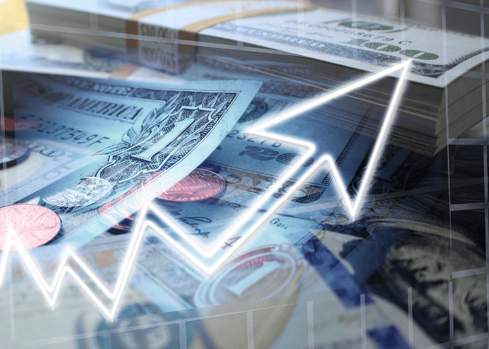 Investasi Modal